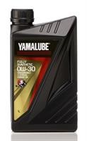 Yamaha YMD-67040-01-01